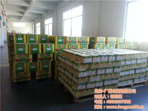 廣州物流倉(cāng)儲(chǔ)托管首選 龍森倉(cāng)儲(chǔ)，一站式托管與設(shè)備租賃服務(wù)